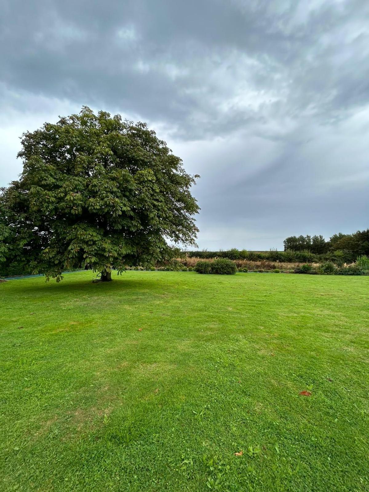 La Nora Jolie Villa Tocqueville-sur-Eu ภายนอก รูปภาพ